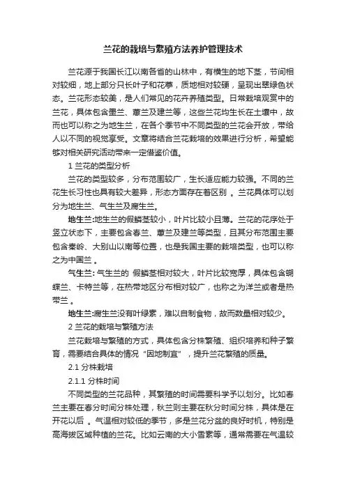 兰花的栽培与繁殖方法养护管理技术