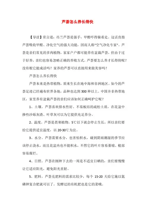 芦荟怎么养长得快