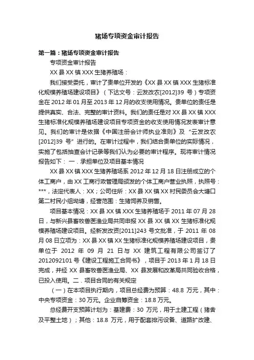 猪场专项资金审计报告