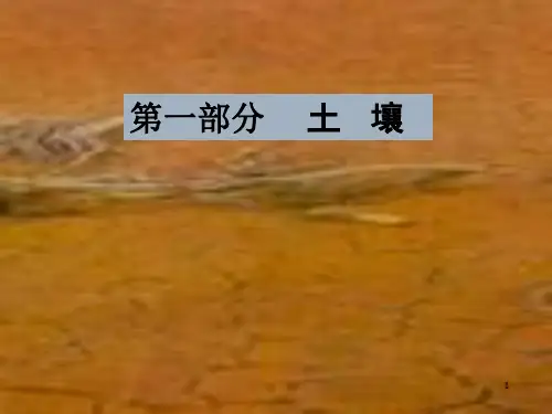 土壤的基本知识ppt课件