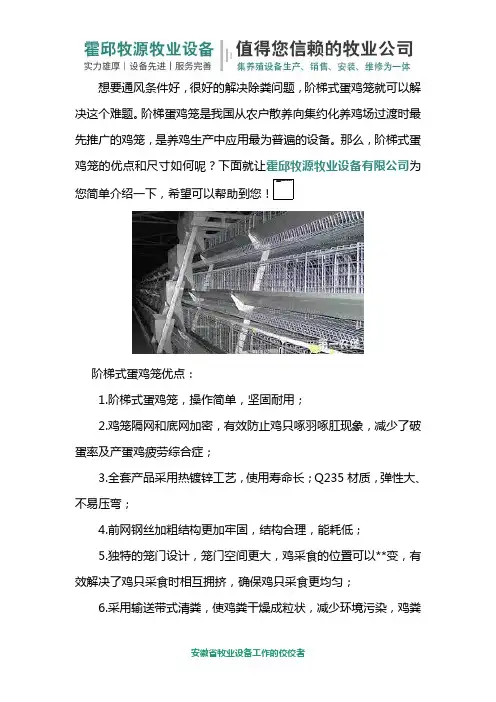 阶梯式蛋鸡笼