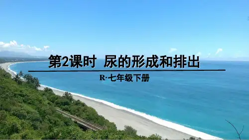 《尿的形成和排出》PPT课件【精品】