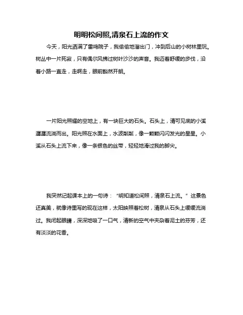 明明松间照,清泉石上流的作文