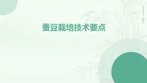 蚕豆栽培技术要点