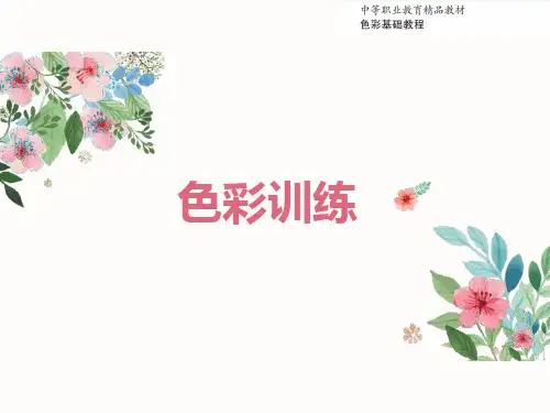 色彩基础教程  PPT课件-色彩训练