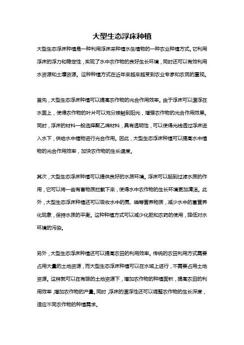大型生态浮床种植