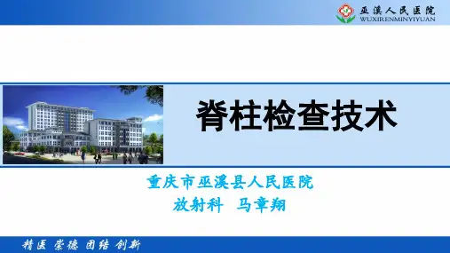 脊柱检查技术