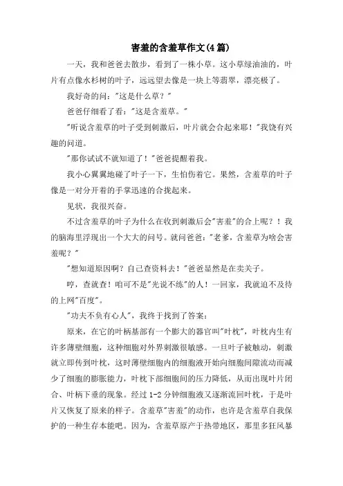害羞的含羞草作文(4篇)精编