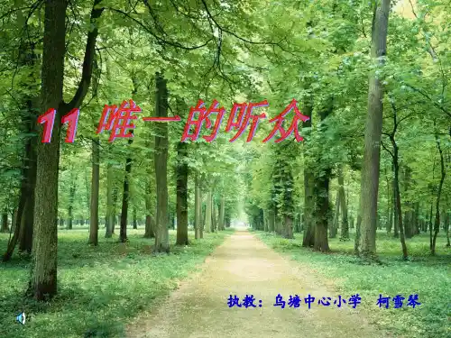 唯一的听众PPT课件