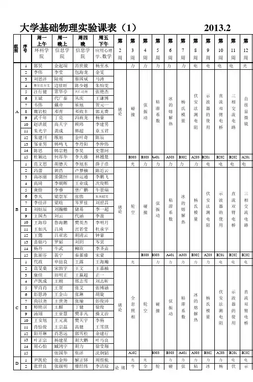 大学基础物理实验课表2009_3