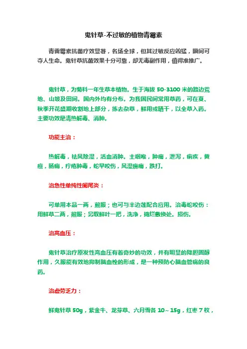 鬼针草-不过敏的植物青霉素