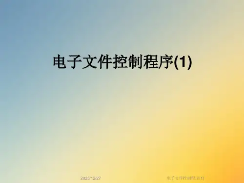 电子文件控制程序(1)