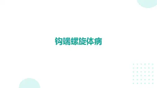 钩端螺旋体病的诊治