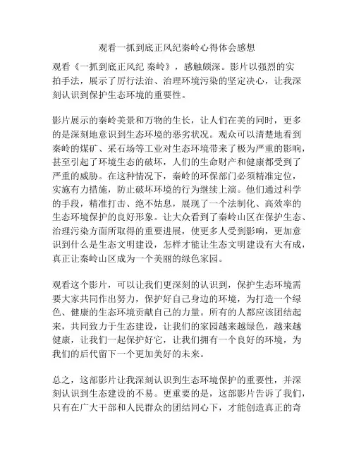 观看一抓到底正风纪秦岭心得体会感想