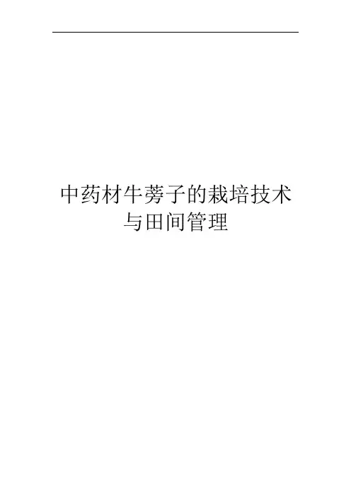 中药材牛蒡子的栽培技术与田间管理