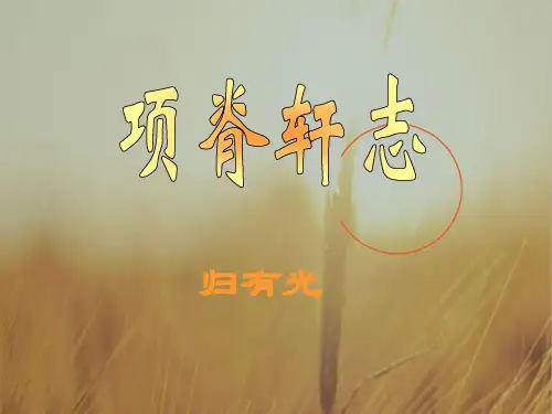 江苏省南京市金陵中学河西分校高中语文必修五 第二专题：项脊轩志 课件 共22张