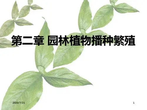 13第二章林植物播种育苗PPT课件