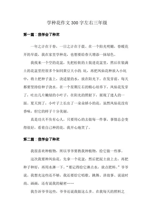 学种花作文300字左右三年级
