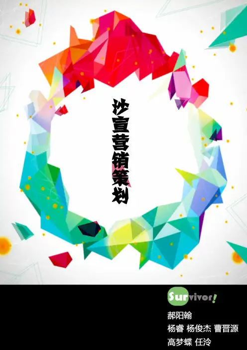 宝洁商战沙宣营销策划案(DOC)