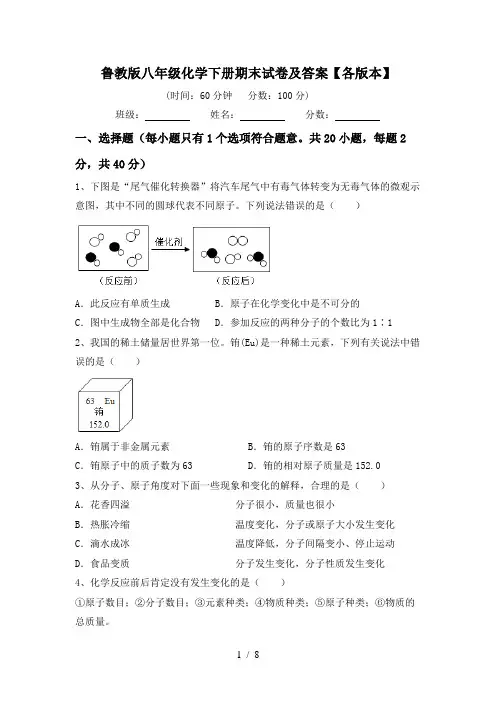 鲁教版八年级化学下册期末试卷及答案【各版本】
