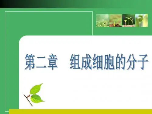 高考生物一轮复习精美课件必修1第二章5节资料