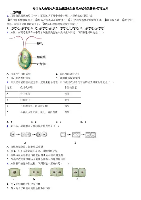 海口市人教版七年级上册期末生物期末试卷及答案-百度文库