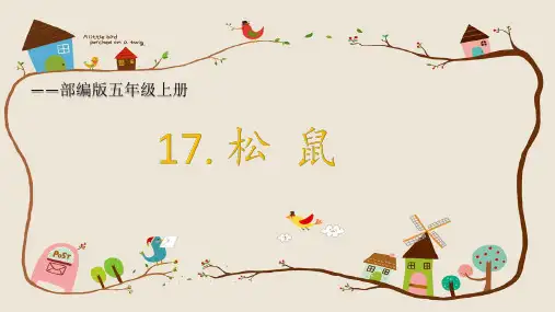 《松鼠》ppt课件