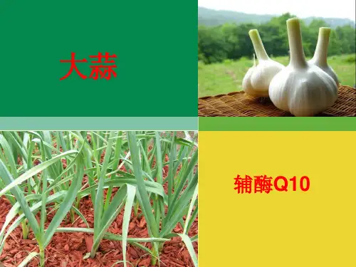 大蒜的营养价值
