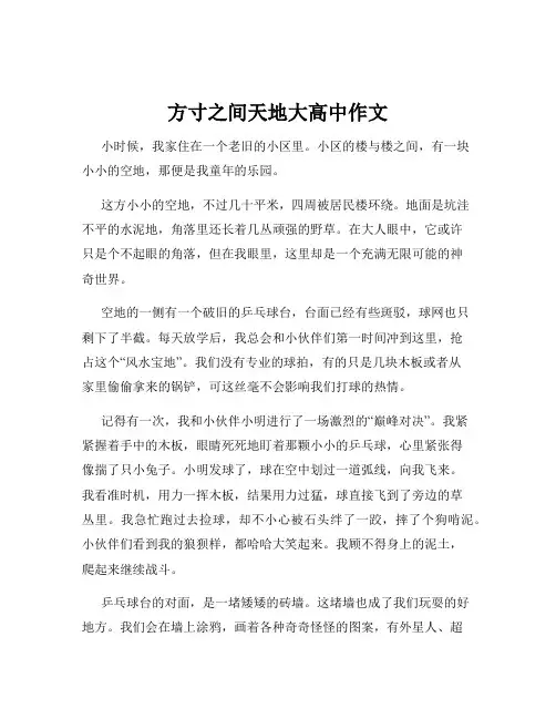 方寸之间天地大高中作文