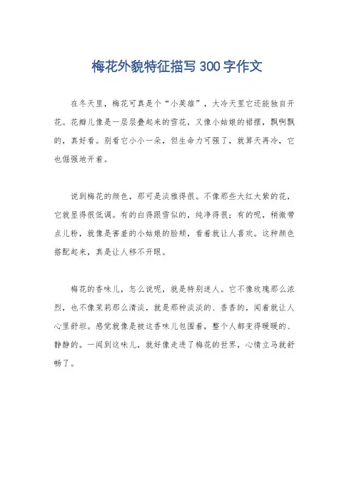 梅花外貌特征描写300字作文
