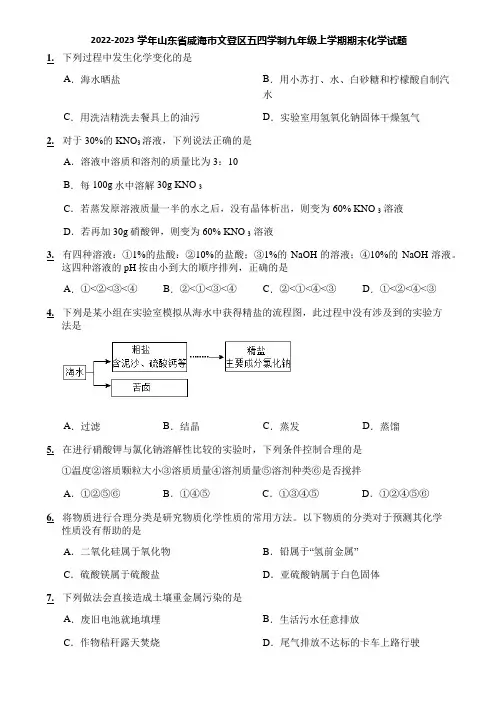 2022-2023学年山东省威海市文登区五四学制九年级上学期期末化学试题