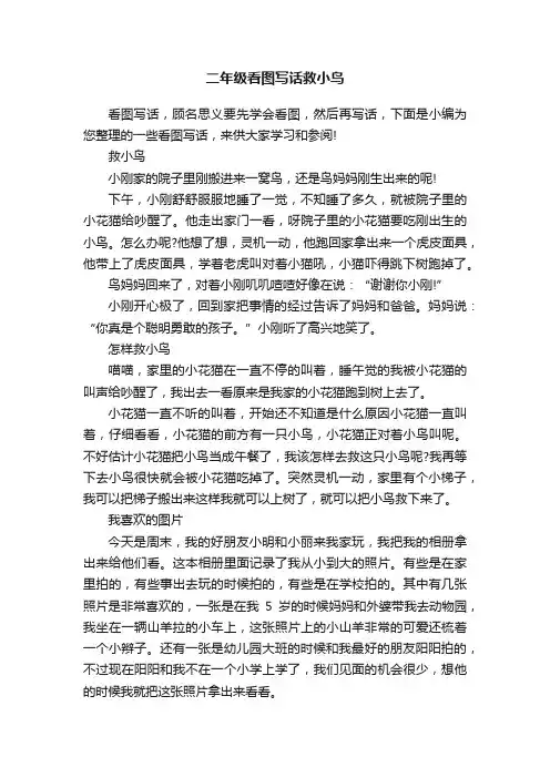 二年级看图写话救小鸟