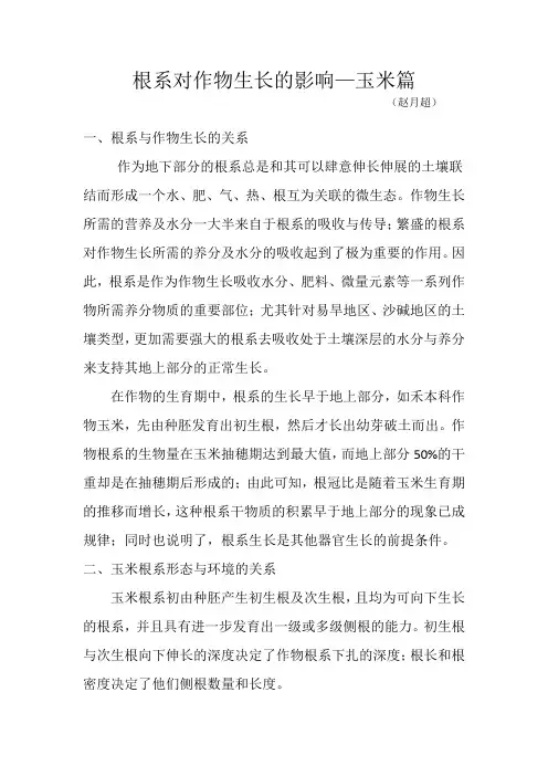 根系对作物生长的影响 玉米篇