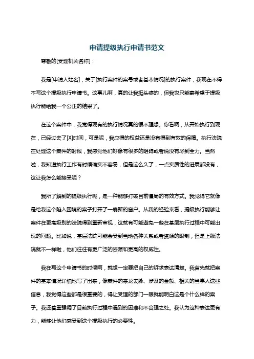 申请提级执行申请书范文