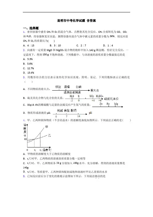 昆明市中考化学试题 含答案