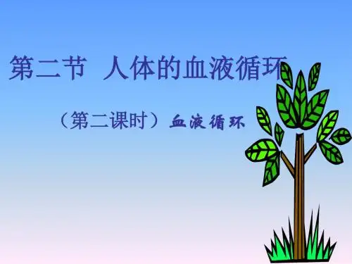 【初中生物】血液循环PPT课件14