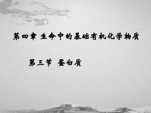 人教化学选修5第4章第三节蛋白质和核酸(共24张PPT)