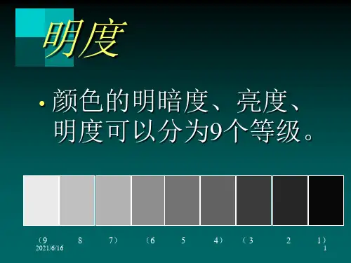 明度九调PPT课件
