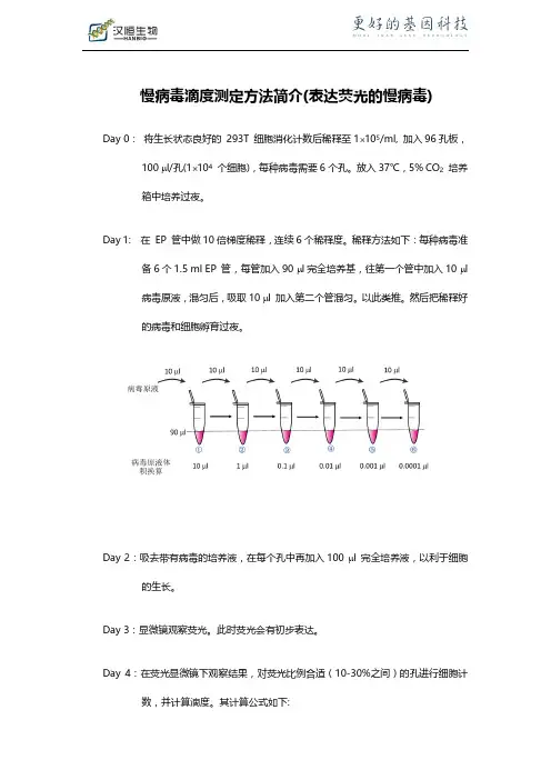 慢病毒滴度测定方法简介