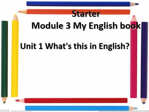 外研版七年级上册Starter Module3 Unit 1(共49张PPT)