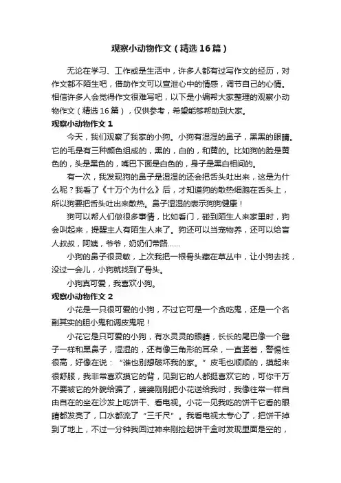 观察小动物作文（精选16篇）