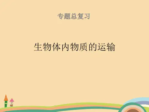 八年级生物生物体内物质的运输PPT精品课件