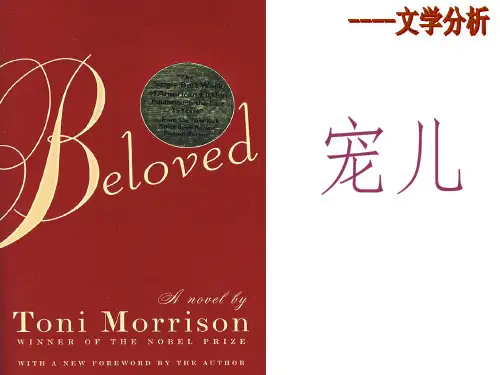 《宠儿》文学分析——女性主义