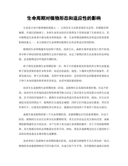 生命周期对植物形态和适应性的影响