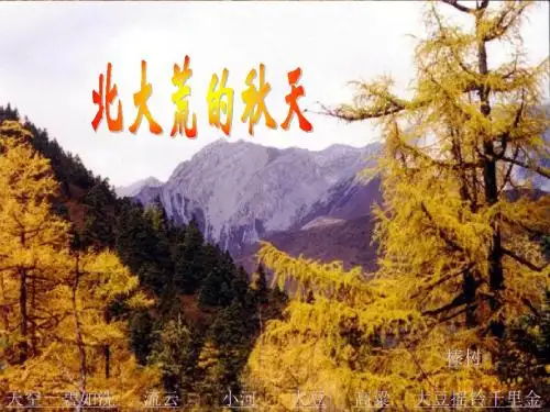 5北大荒的秋天