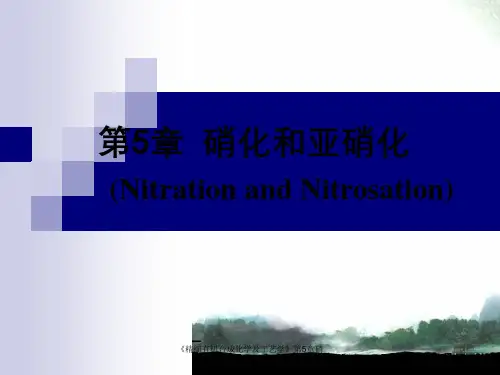 《精细有机合成化学及工艺学》第5章硝化