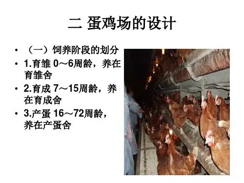 蛋鸡场的设计