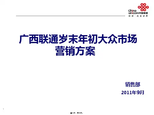 广西联通岁末年初大众市场营销方案