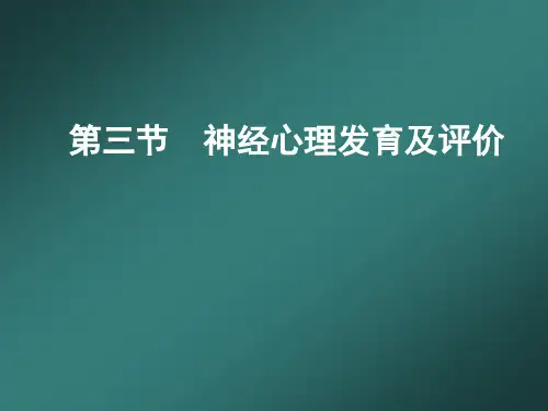 神经心理发育及评价