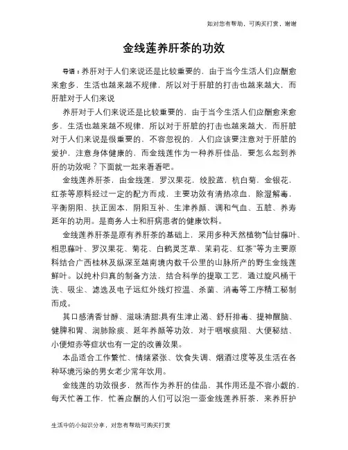 金线莲养肝茶的功效